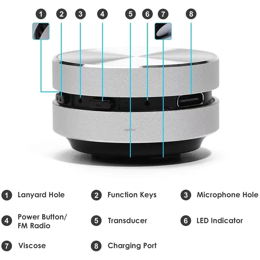 Conduction speaker