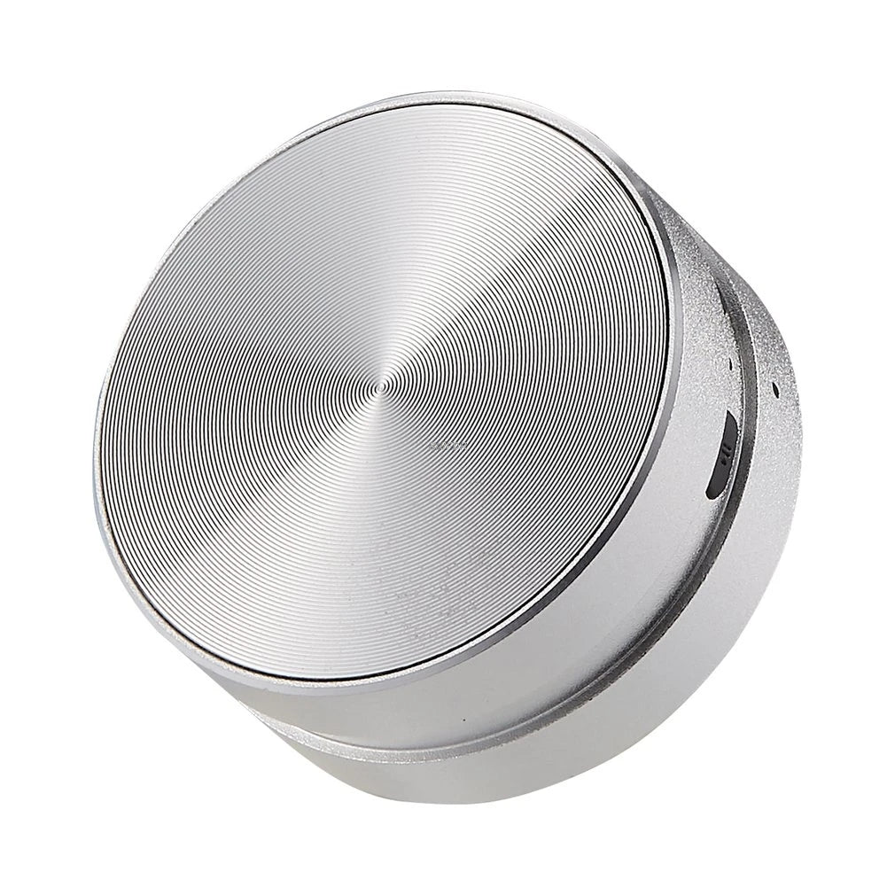 Conduction speaker