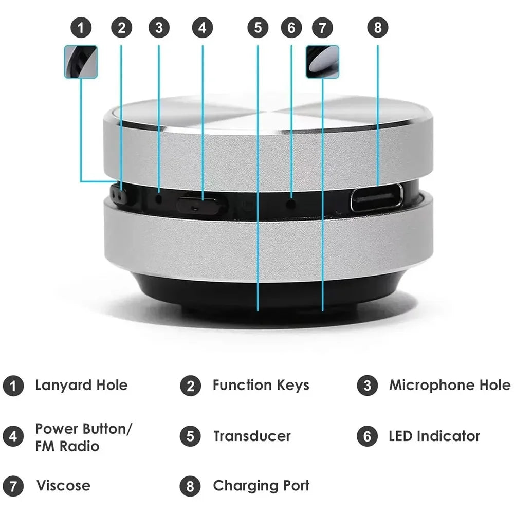 Conduction speaker